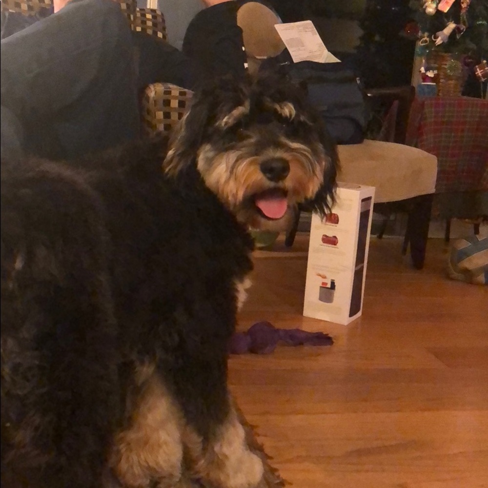 Meet your Posher, Tammy